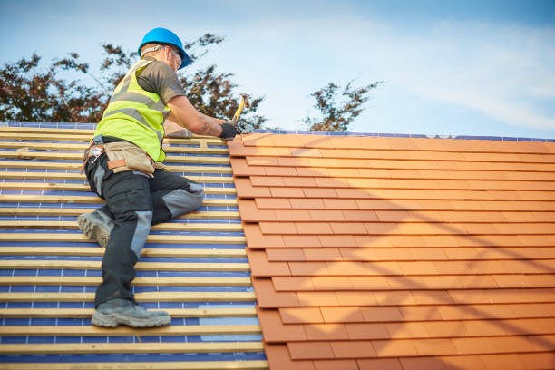 Best Roof Ventilation Installation  in Choteau, MT
